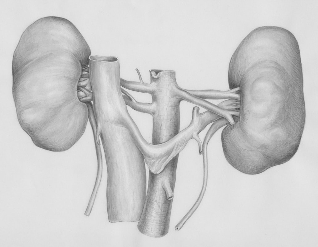 PSA Screening